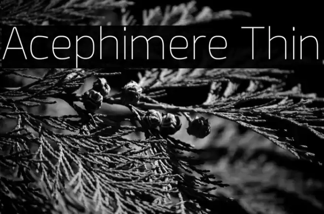Acephimere Thin Font examples