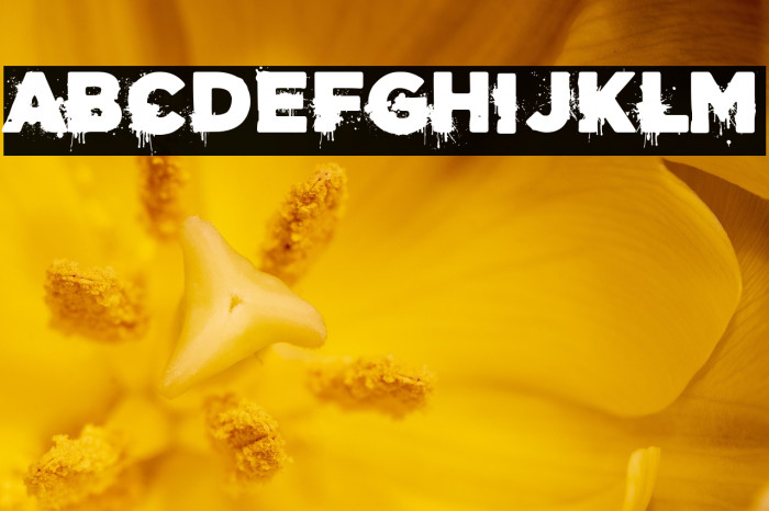 Acero y Sangre Example 1