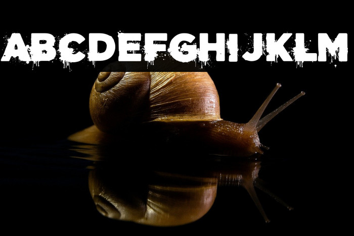 Acero y Sangre Example 2