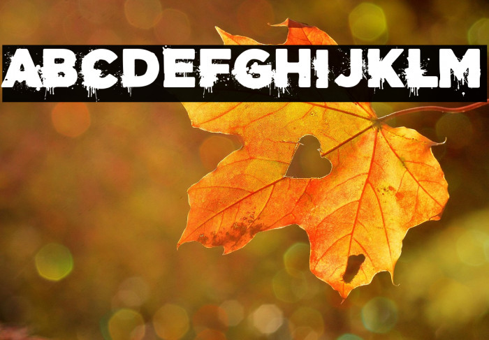 Acero y Sangre Example 3