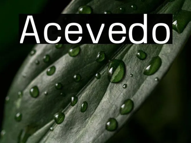Acevedo Example 1