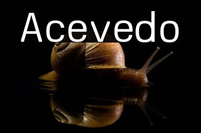 Acevedo Example 2