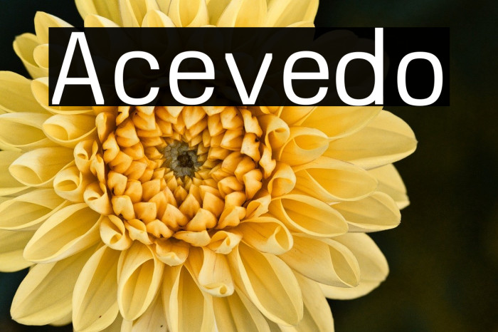 Acevedo Example 3