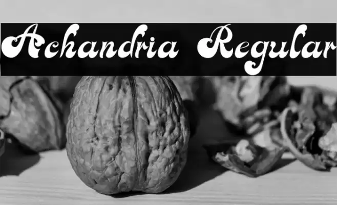 Achandria Regular Font examples