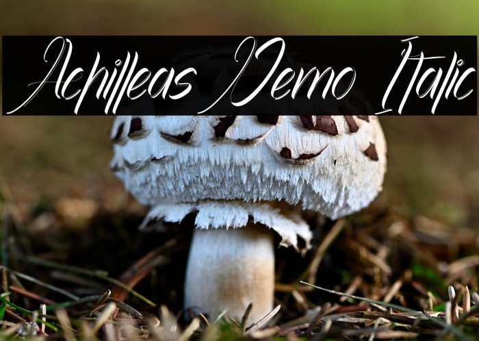 Achilleas Demo Italic Example 1