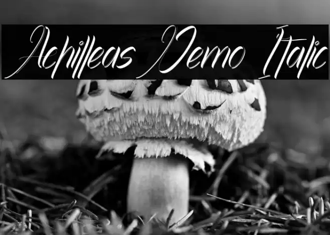 Achilleas Demo Italic Font examples