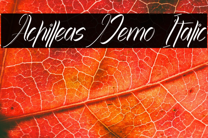 Achilleas Demo Italic Example 2