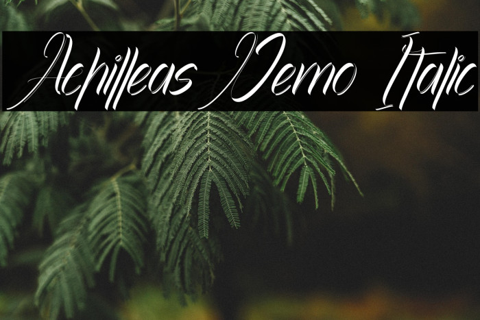 Achilleas Demo Italic Example 3