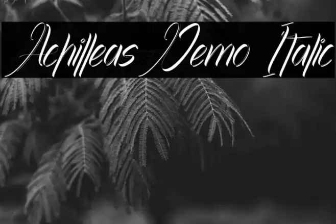 Achilleas Demo Italic Font examples