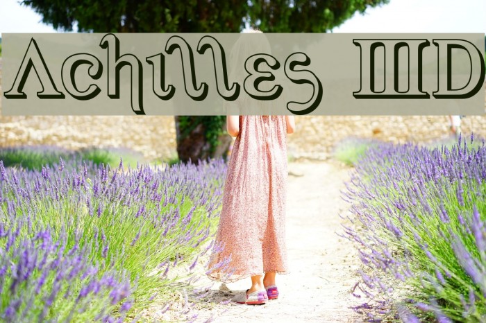 Achilles 3D Example 1