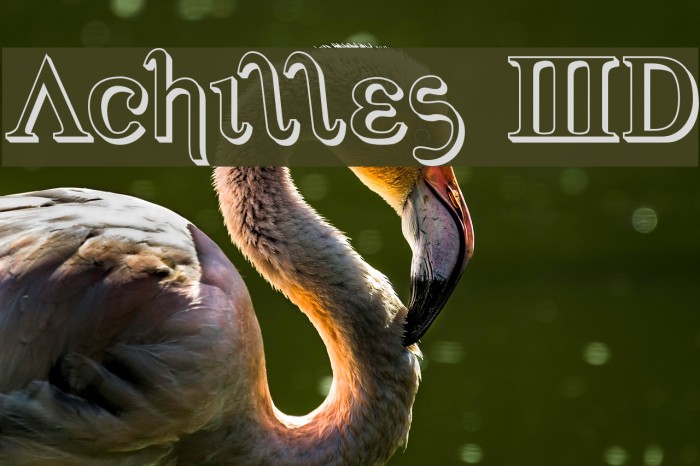 Achilles 3D Example 2