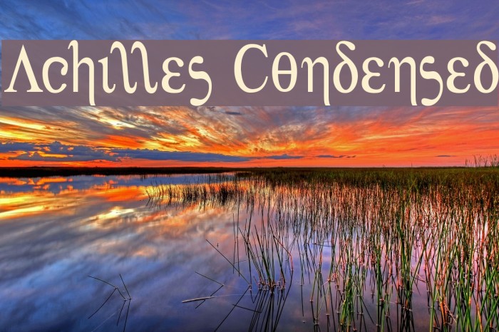 Achilles Condensed Font examples