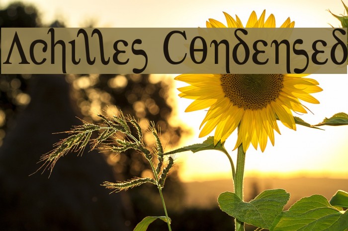 Achilles Condensed Font examples