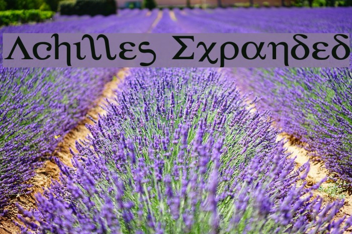 Achilles Expanded Font examples