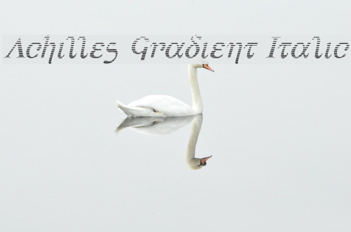 Achilles Gradient Italic Font examples