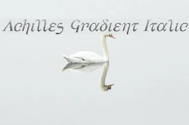 Achilles Gradient Italic Example 2