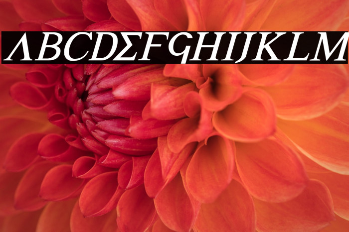 Achilles Italic Example 3