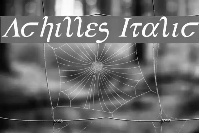 Achilles Italic Font examples