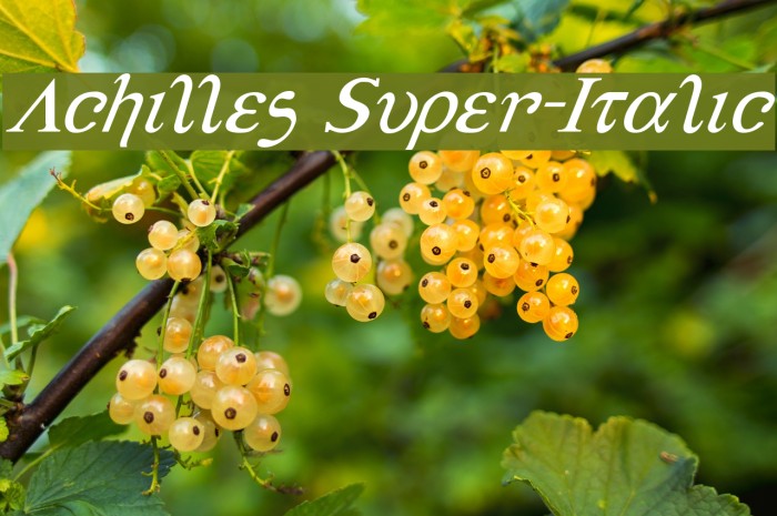 Achilles Super-Italic Font examples