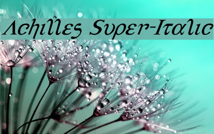 Achilles Super-Italic Font examples