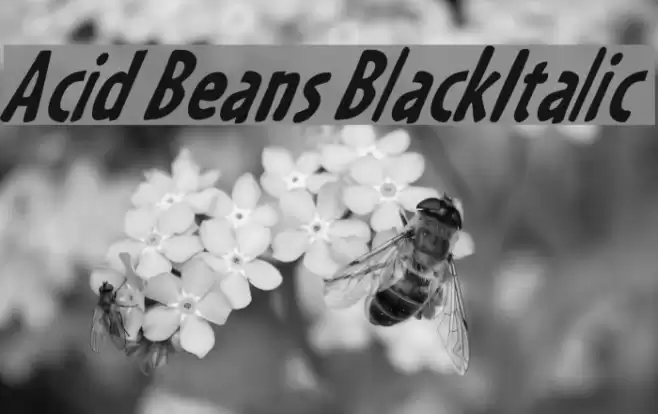 Acid Beans BlackItalic Font examples