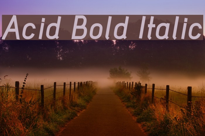 Acid Bold Italic Шрифта examples
