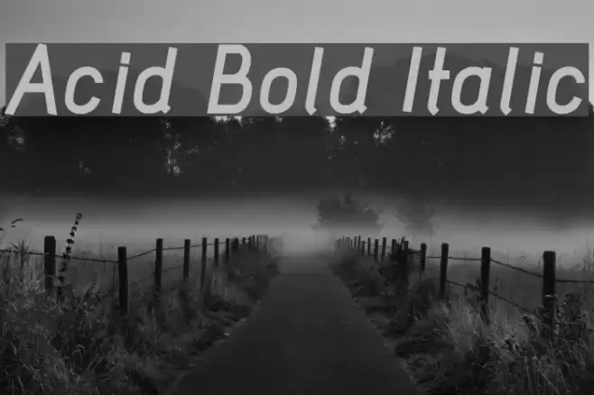 Acid Bold Italic Polices examples