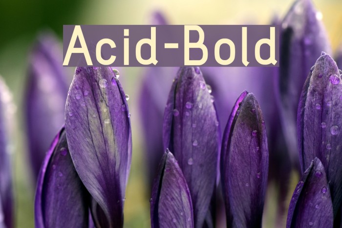 Acid-Bold Шрифта examples
