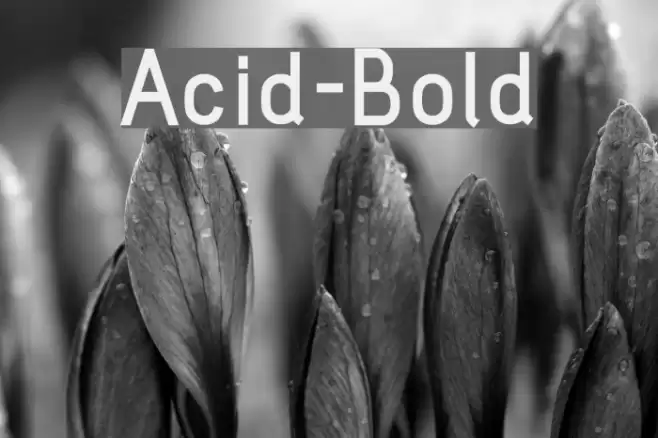 Acid-Bold Fonte examples