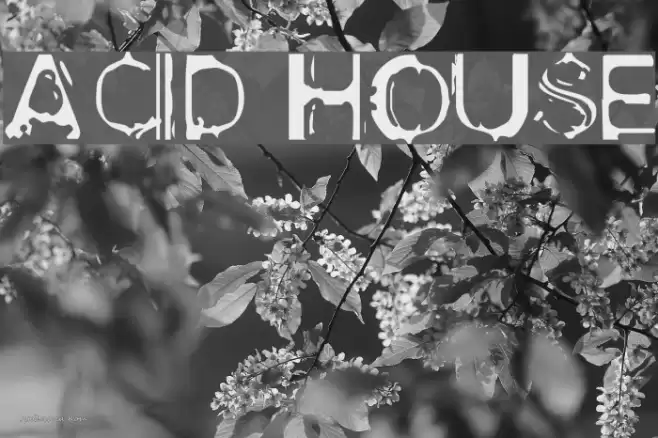 Acid House Шрифта examples