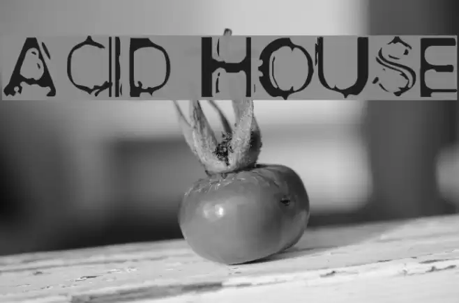 Acid House Шрифта examples