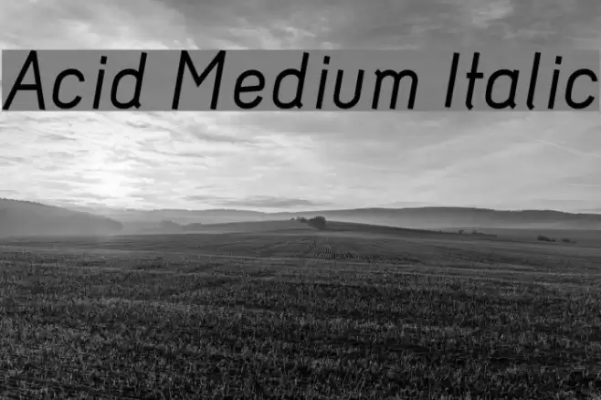 Acid Medium Italic フォント examples