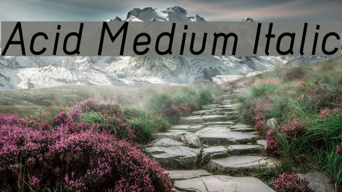 Acid Medium Italic Шрифта examples