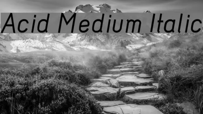 Acid Medium Italic フォント examples