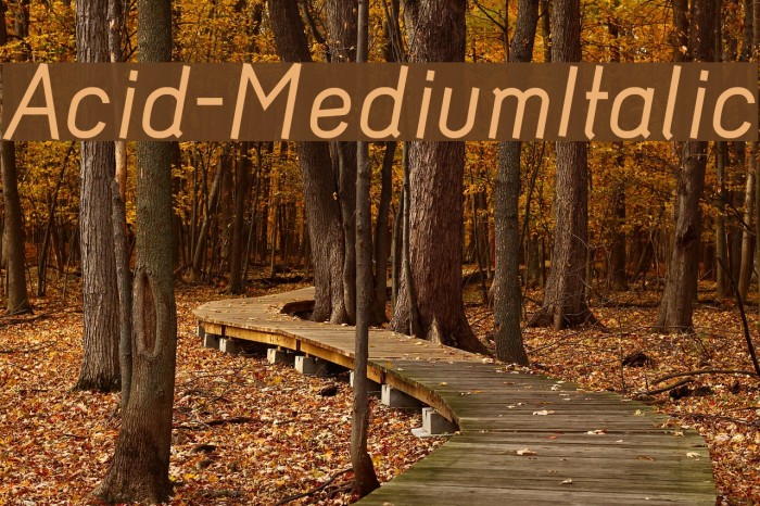 Acid-MediumItalic Font examples