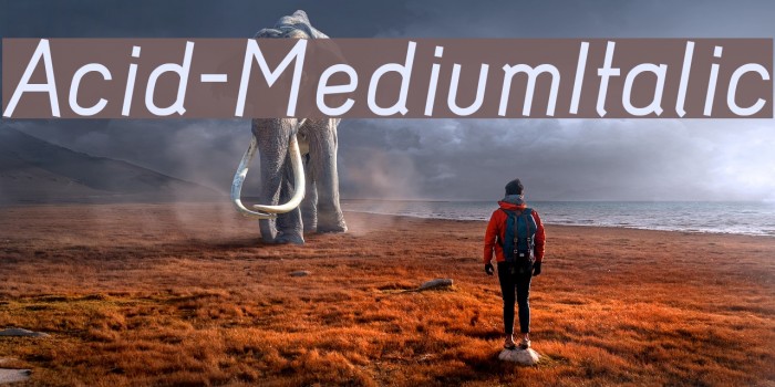 Acid-MediumItalic Font examples
