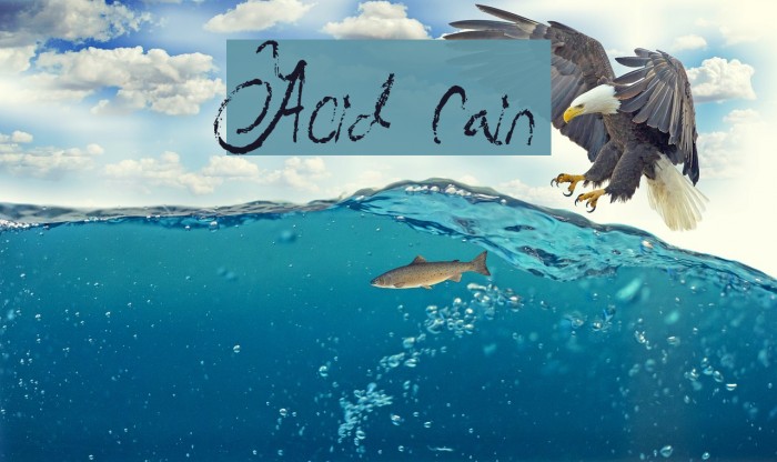 Acid Rain Example 3
