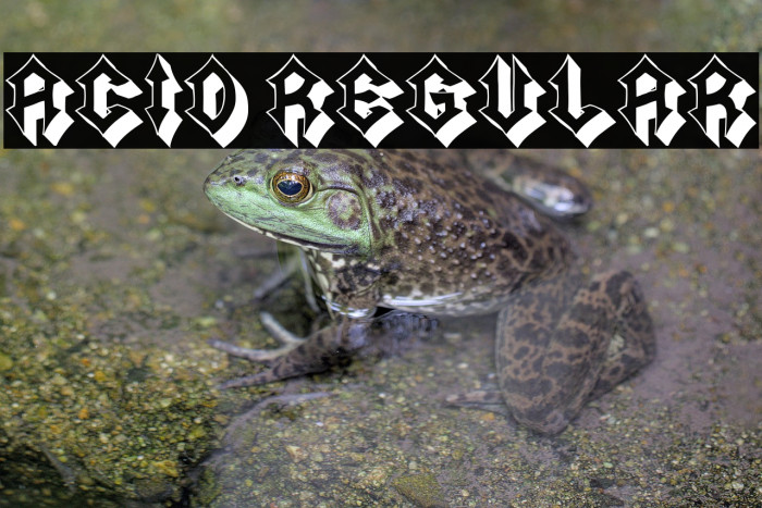 Acid Regular Example 1