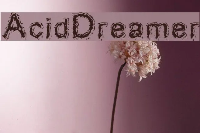 AcidDreamer Example 2