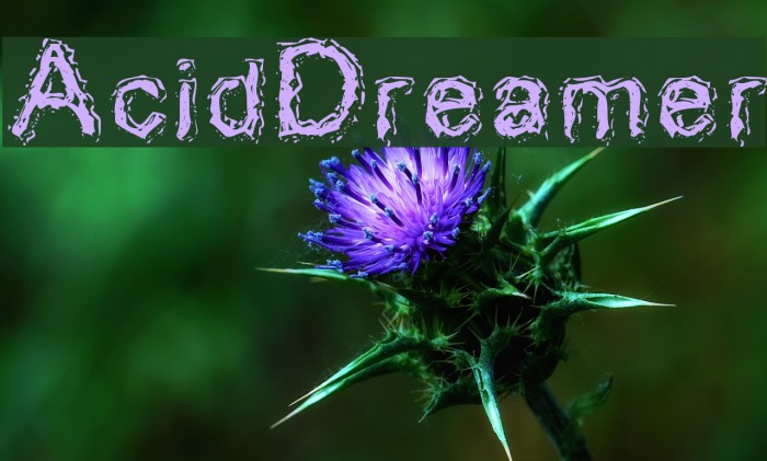 AcidDreamer Font examples