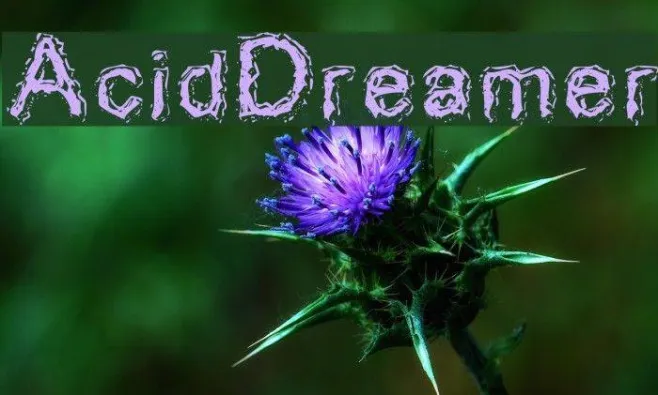 AcidDreamer Example 3