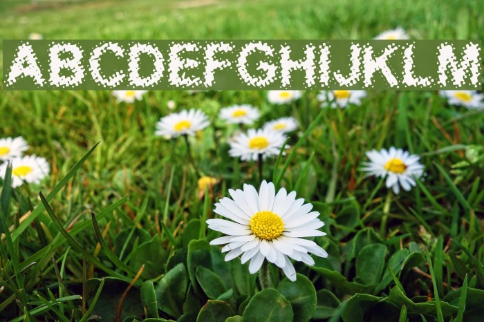 Acidic Font examples
