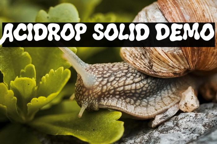 Acidrop Solid Demo Example 3