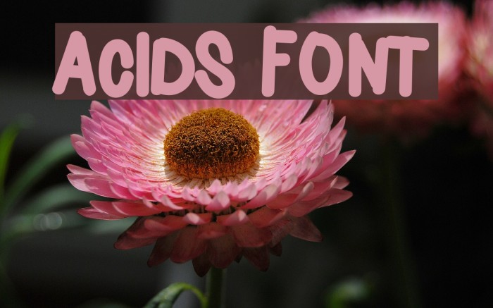 Acids Font examples