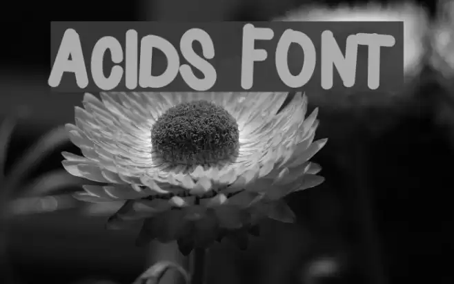 Acids Font examples