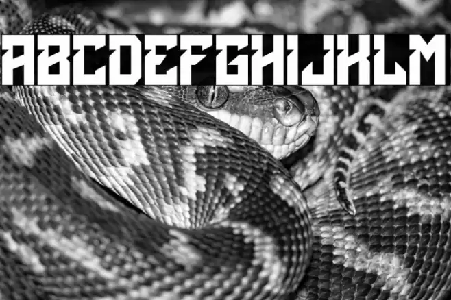 Acients Font examples