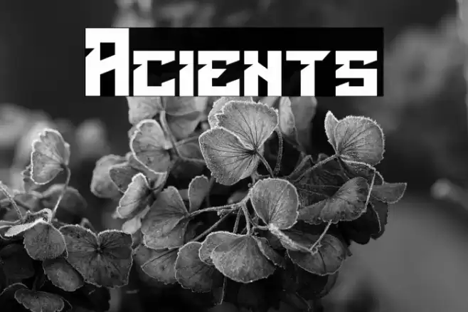 Acients Font examples