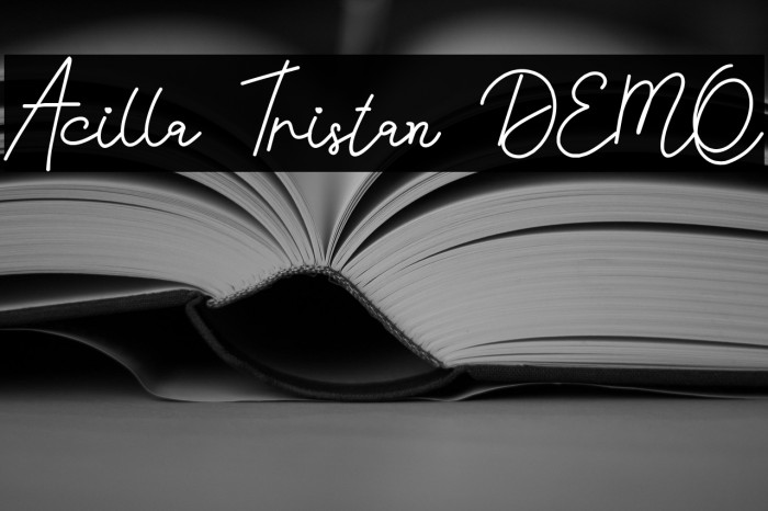 Acilla Tristan DEMO Example 1