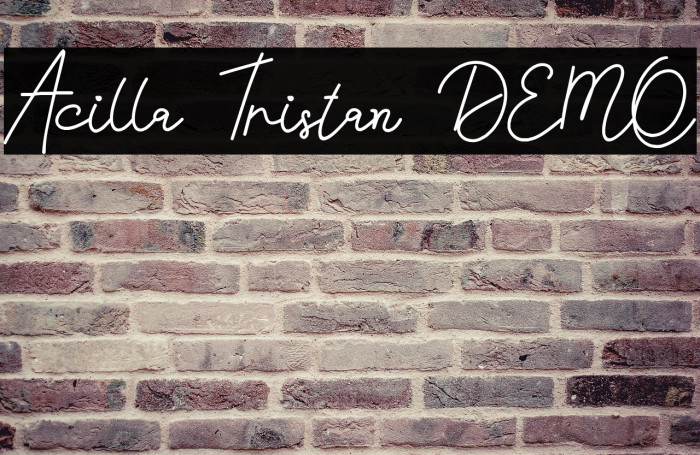 Acilla Tristan DEMO Example 3