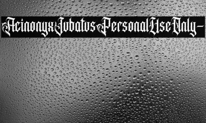 AcinonyxJubatusPersonalUseOnly- Fonte examples